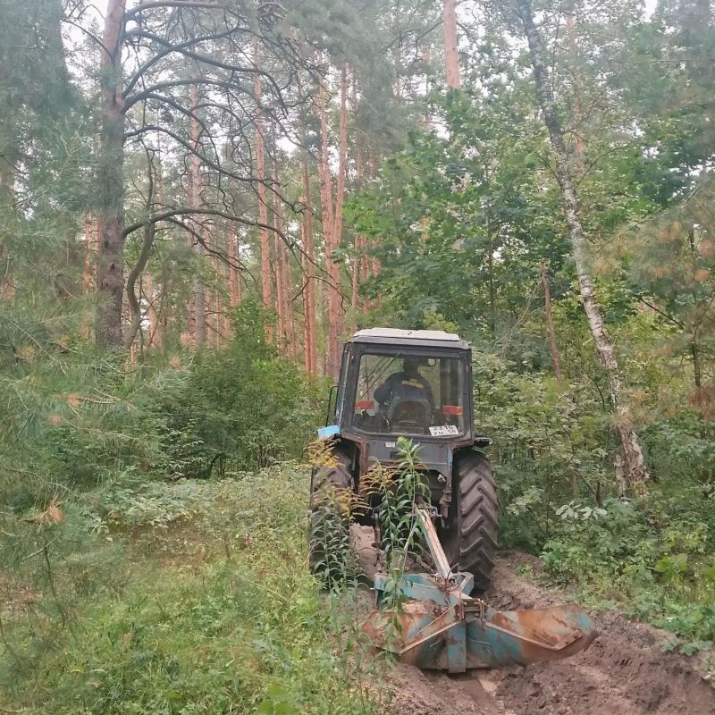 В Пензе обновляют минерализованные полосы В Пензе обновляют минерализованные полосы