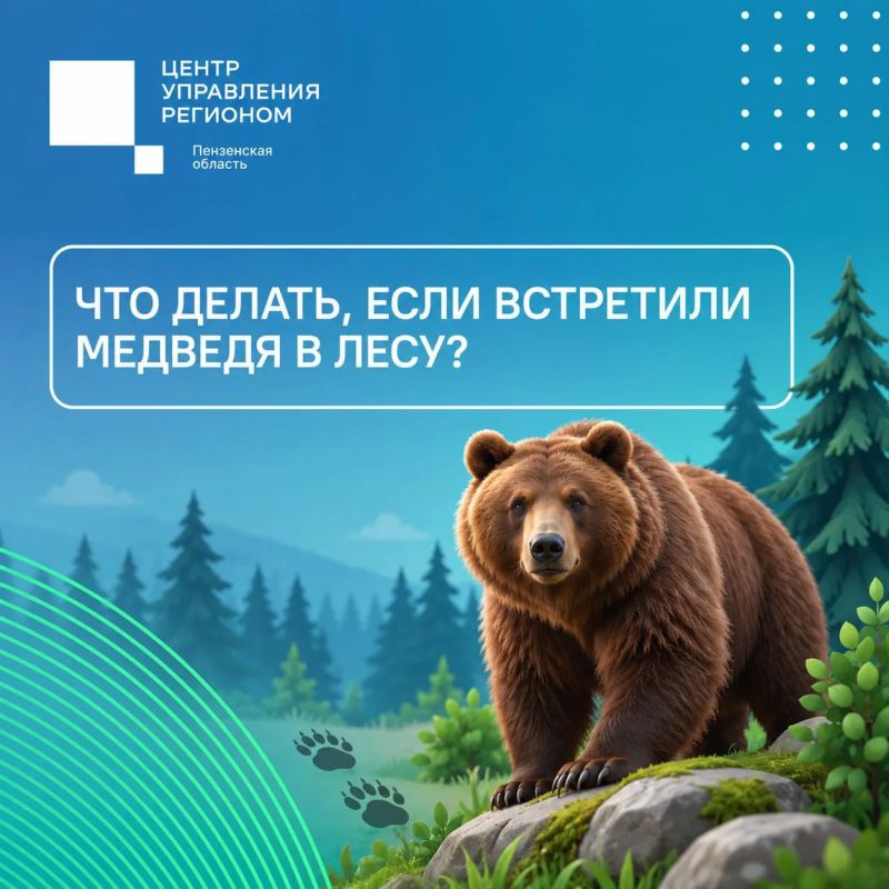 #ЦУР58_информирует. Безопасность в лесу: что важно знать о встрече с медведем По информации регионального минлесхоза, следы медведей за последнюю неделю заметили в Кузнецком, Шемышейском и Лунинском районах