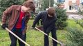 У торгового центра «Красные холмы» на улице Суворова появились 10 молодых елей