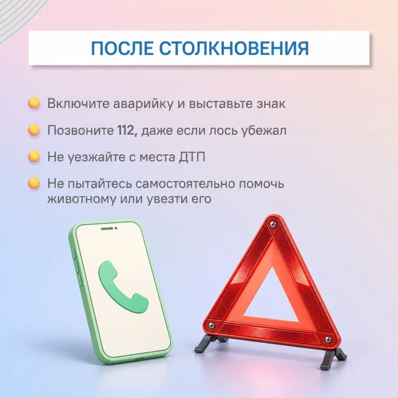 #ЦУР58_информирует. Лоси вышли на дороги: что важно знать водителям В Пензенской области начался период гона лосей #ЦУР58_информирует. Лоси вышли на дороги: что важно знать водителям В Пензенской области начался период гона лосей