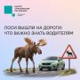 #���58_�����������. ���� ����� �� ������: ��� ����� ����� ��������� � ���������� ������� ������� ������ ���� �����