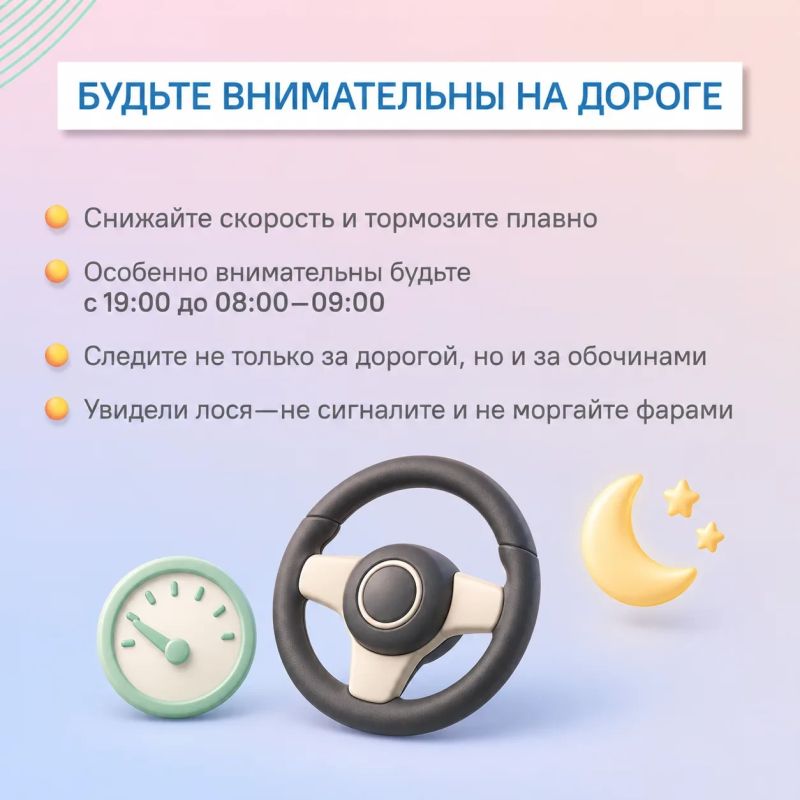 #ЦУР58_информирует. Лоси вышли на дороги: что важно знать водителям В Пензенской области начался период гона лосей #ЦУР58_информирует. Лоси вышли на дороги: что важно знать водителям В Пензенской области начался период гона лосей