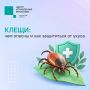 #ЦУР58_информирует . Клещи всё ещё активны: как защититься Несмотря на осень, в Пензенской области продолжаются обращения из-за укусов клещей