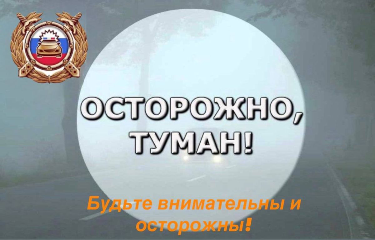 Пензенская Госавтоинспекция напоминает участникам дорожного движения о соблюдении мер безопасности в условиях тумана
