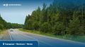 ���� �����������: ������� � ������� 46 �� ����� � ������������� ������ � ����� �� ����� ������� �� ������� ������������� ����������� ���������� �������