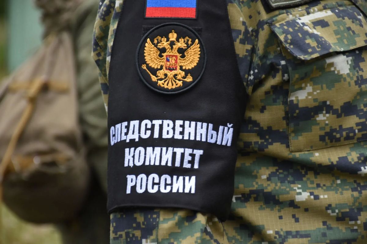 Жительница Пензы предстанет перед судом за применение насилия в отношении сотрудника полиции