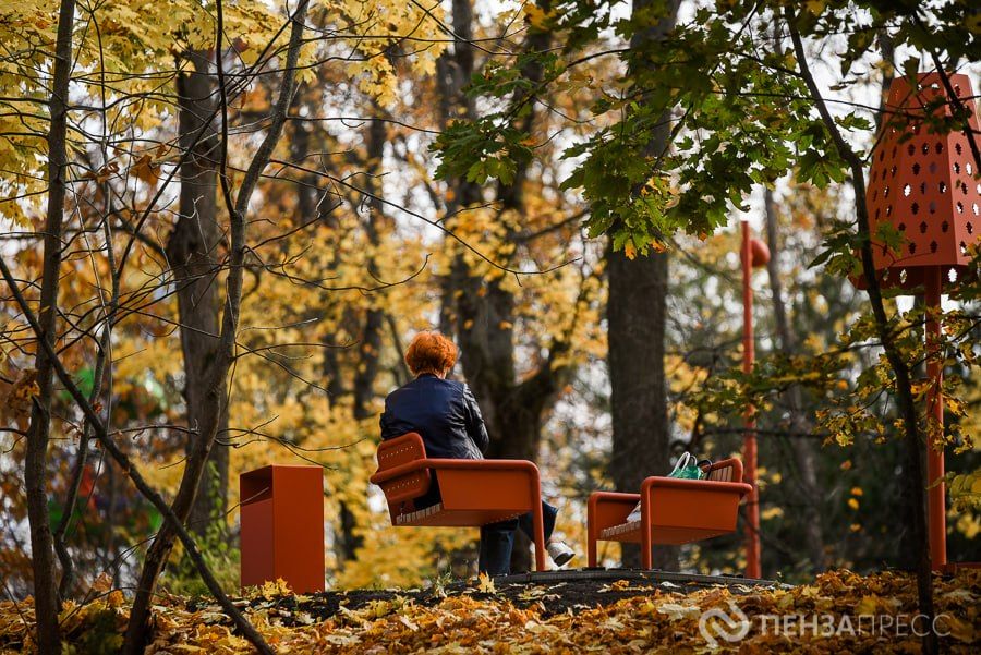 Прогулка по осеннему парку им. Белинского в Пензе: фоторепортаж Прогулка по осеннему парку им. Белинского в Пензе: фоторепортаж