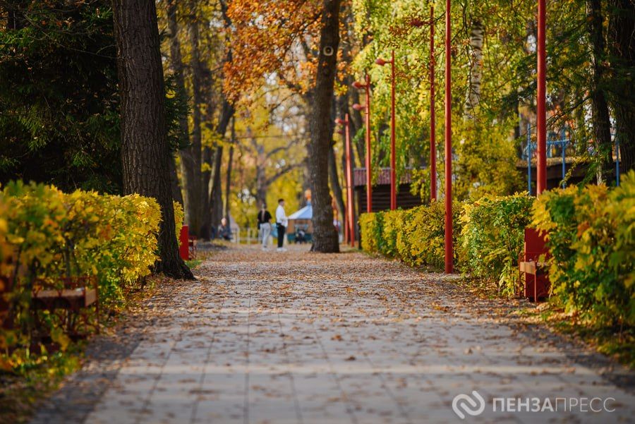 Прогулка по осеннему парку им. Белинского в Пензе: фоторепортаж Прогулка по осеннему парку им. Белинского в Пензе: фоторепортаж