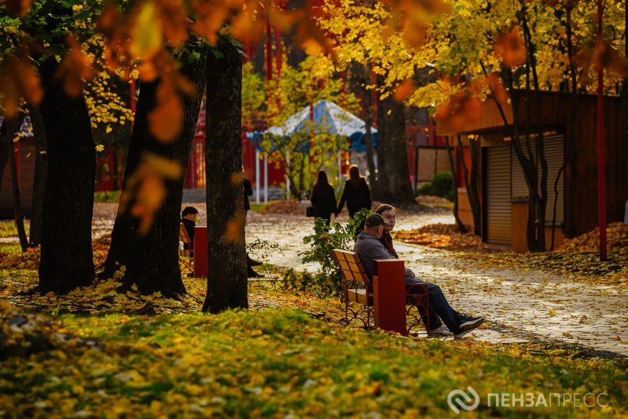 Прогулка по осеннему парку им. Белинского в Пензе: фоторепортаж Прогулка по осеннему парку им. Белинского в Пензе: фоторепортаж