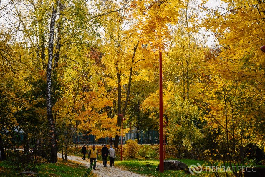 Прогулка по осеннему парку им. Белинского в Пензе: фоторепортаж Прогулка по осеннему парку им. Белинского в Пензе: фоторепортаж