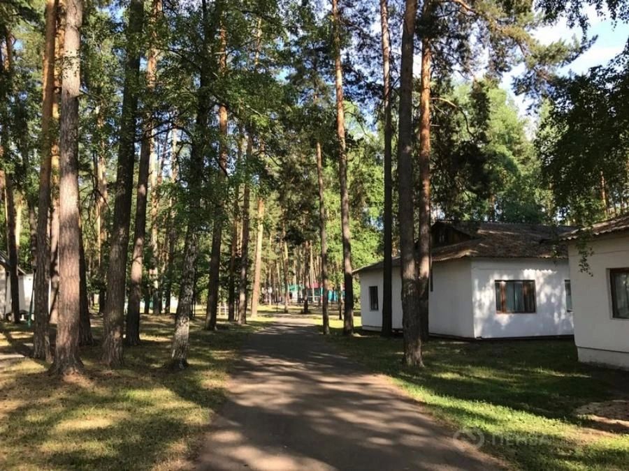В Пензенской области утвердили квоты в лагерях для детей-инвалидов и с ограниченными возможностями здоровья на 2027 год