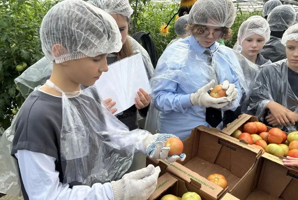 В России подвели итоги первого Всероссийского месячника профориентации, в котором участвовали более 200 тысяч школьников и педагогов из 70 регионов, включая Пензенскую область В России подвели итоги первого Всероссийского месячника профориентации, в котором участвовали более 200 тысяч школьников и педагогов из 70 регионов, включая Пензенскую область