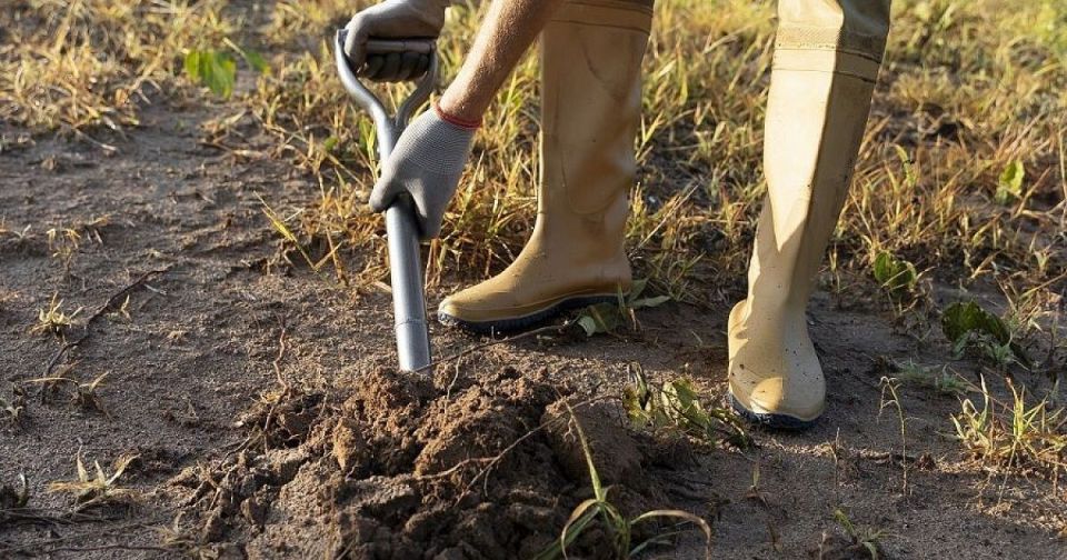 Копка огорода осенью: мнение экспертов о том, что действительно важно