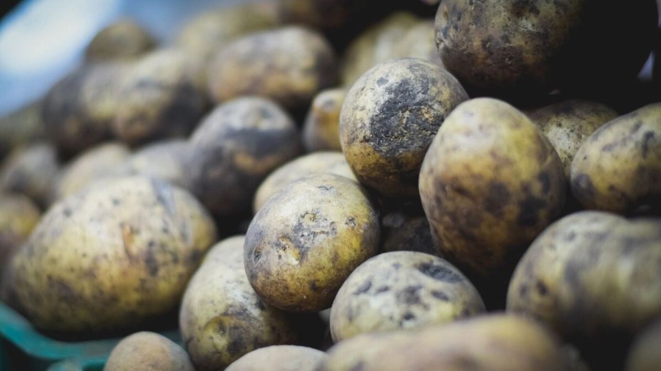 Секреты хранения картофеля: как хабаровчане сохраняют корнеплоды до весны