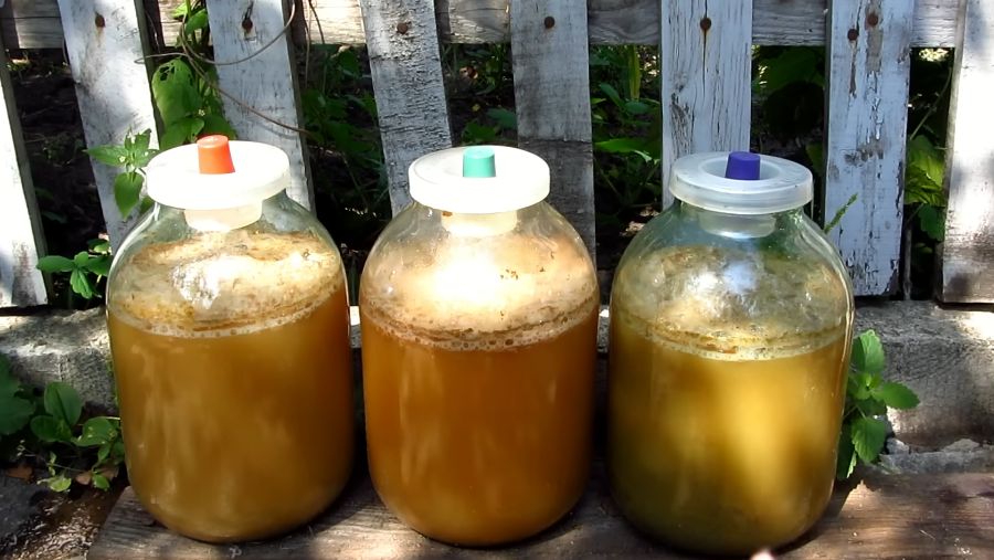 Запах домашнего сидра: как соседский интерес превратился в хобби