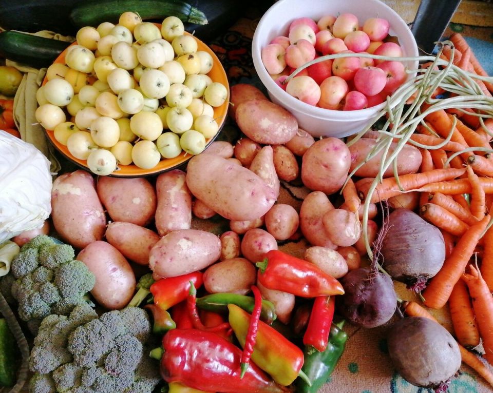 Калий: незаменимый элемент для здоровья растений и их урожайности