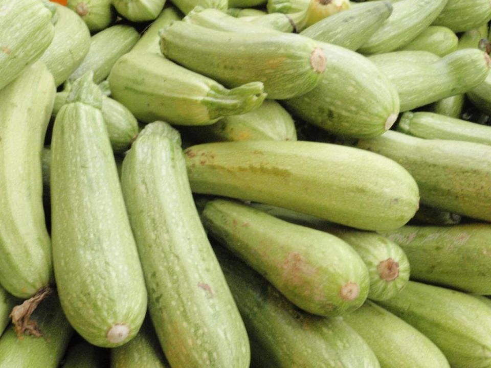 Секреты успешного роста кабачков: как получить обильный урожай без хлопот