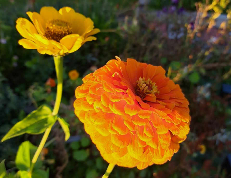 ������: ����� ������� ��� ������ ����