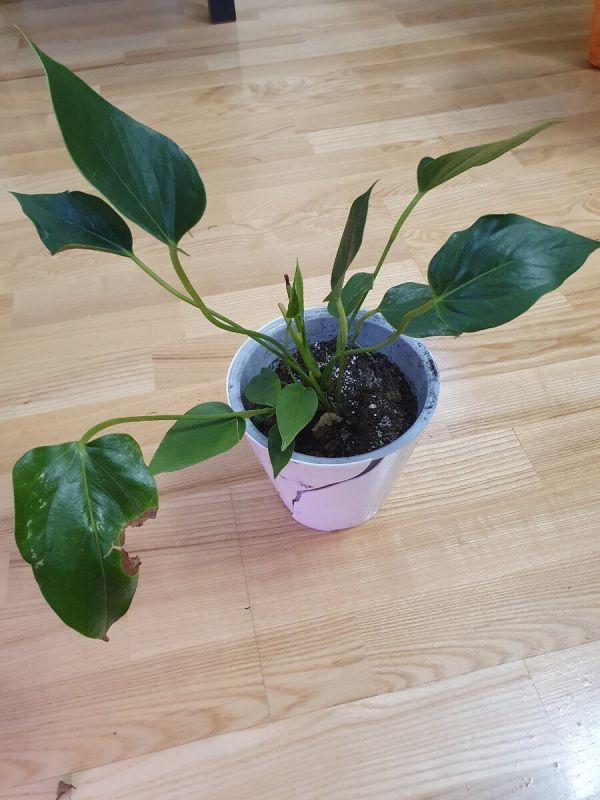 ���������: ��� ������ �� ����� ����� �������� � ����������