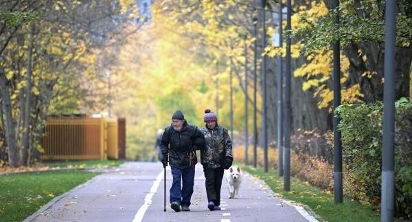 Россия на карте пенсионеров: где их больше всего?