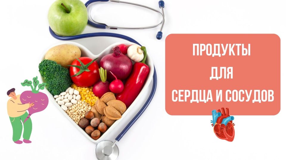 Продукты для здоровья сердца: ключ к долгой и активной жизни