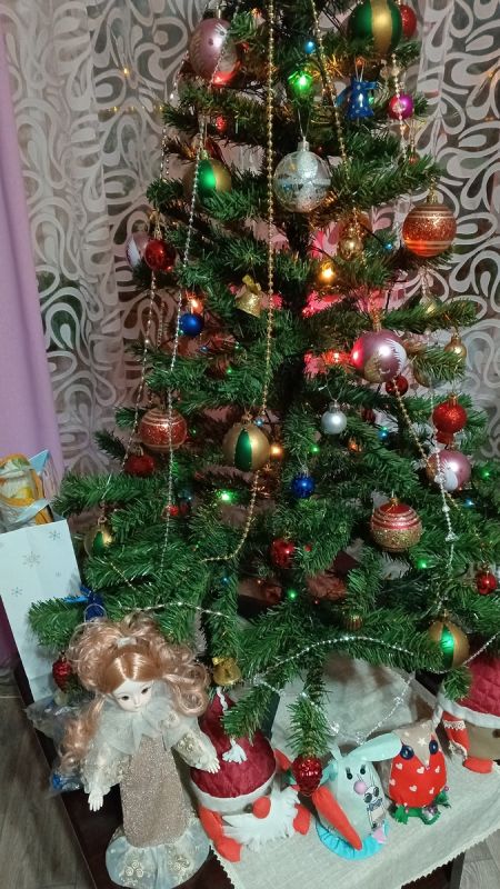 Как новогоднее обращение Президента вдохновило простых людей