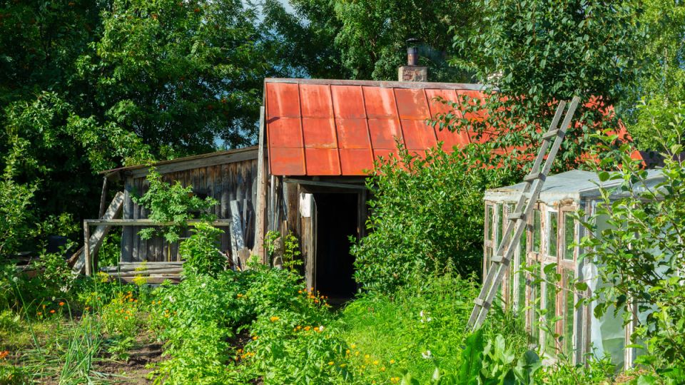 ��� ��������� ����� ����� ������� � ���������� ����