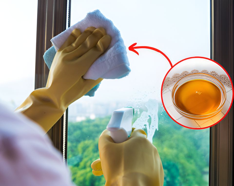 ��� ���� ���� ������ � ��� ��������: ������� ������� �� ����� �������