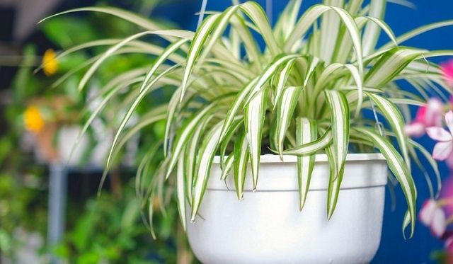 �������� ������ � ���� �����: 10 �������� ��� ������� �������