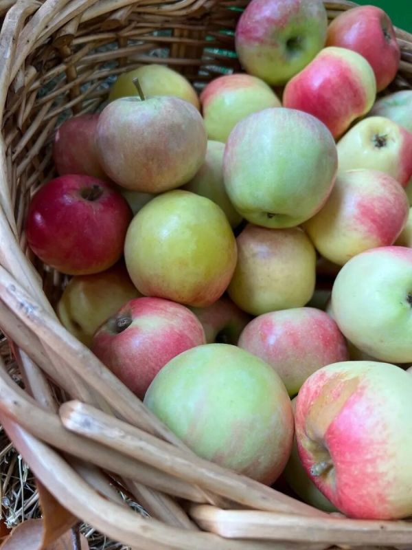 ��� �������� ������� �� �������� �������