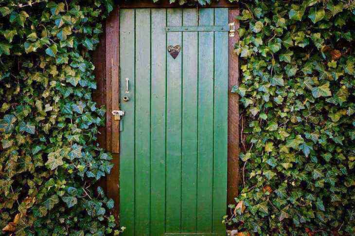 ��� �������� ������ ������ �� ����������� ������: ������ ����