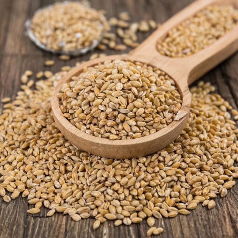 ��� ������� ��������� ����� ��� ���������: ��������� ���������� ���������