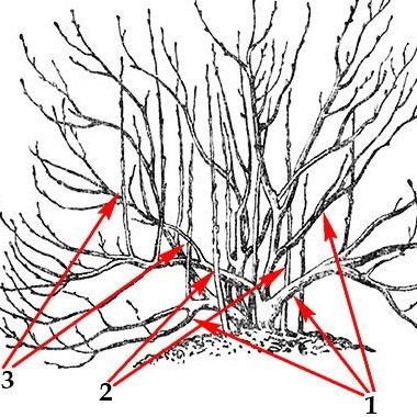 �������� ����������� ����������: ������� �������� ������� ��� �������� ������