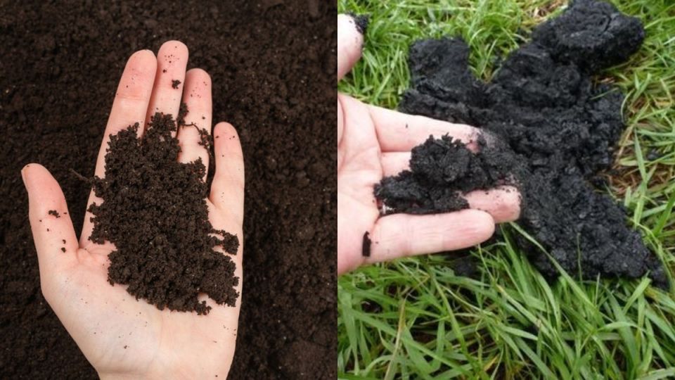 ��� ��������� ����� ������� ������ � ���������