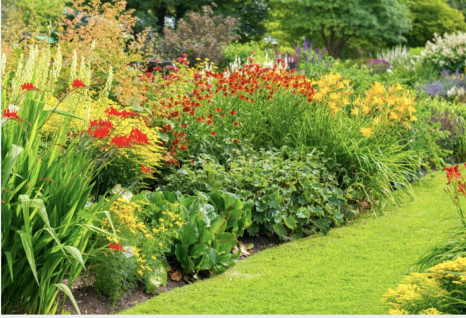 �������� �� �����: ��� ������� ����� ��� �� ������� ������