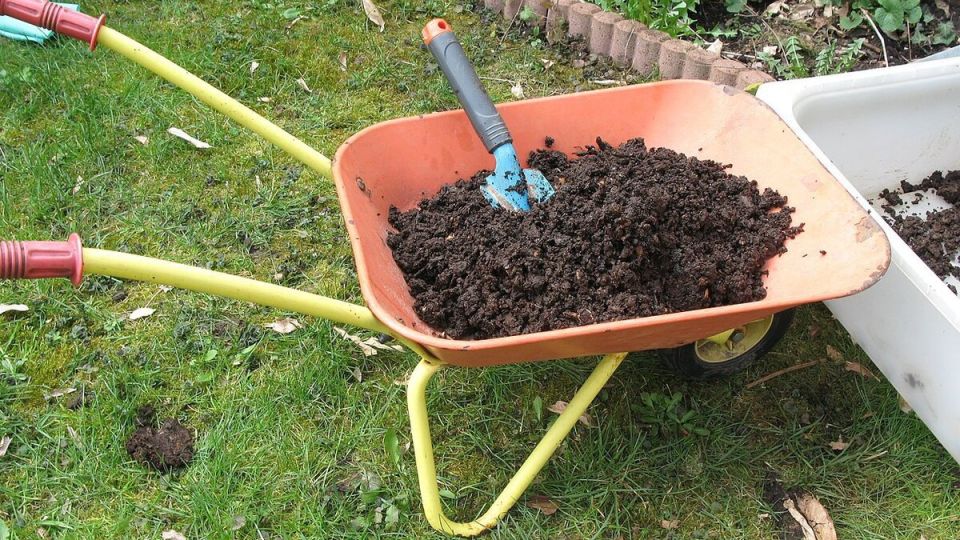 ������ �����������: ��� �������� �������� ��� ������� �����