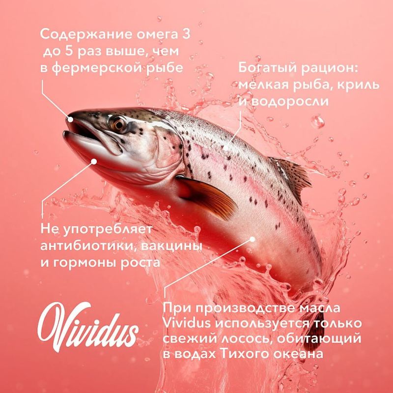 ����� ������: ����������� ������������ ��� �������� �� ��������� � ����������