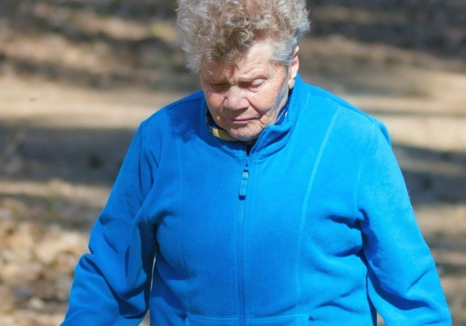 Как восстановить данные о стаже и проверить свою пенсию