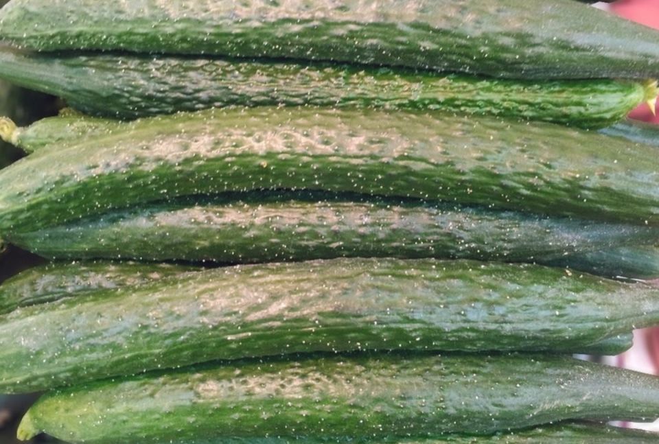 ������ ����� �������� �������� �� ���� ���� �������: ������������ �������� �������