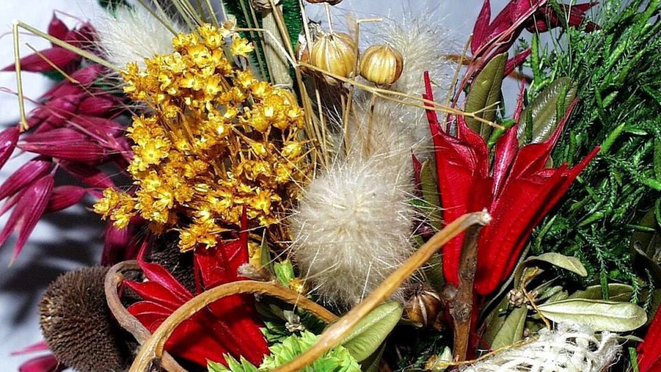 ������ �� ����������: �������� ���������� ����� ��� ������ ���������