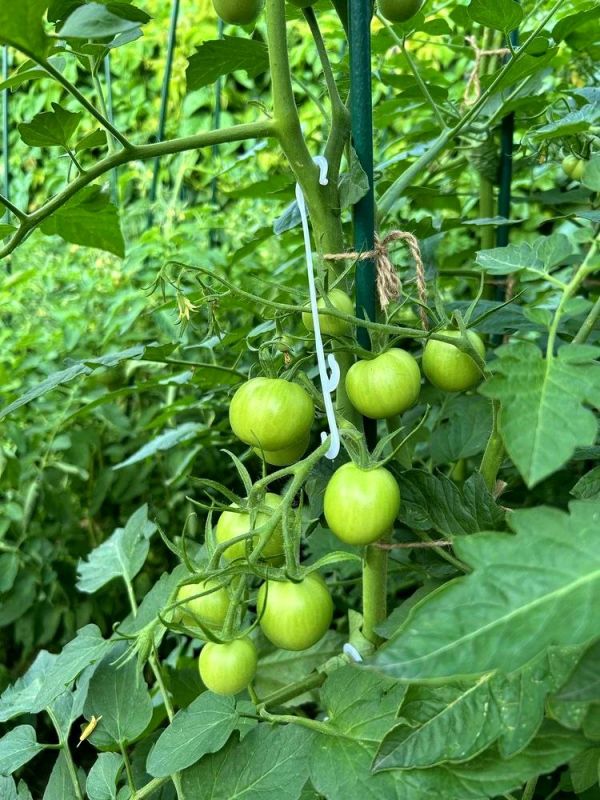 ���-3 ����������� ������ ��� ������� �� Wildberries