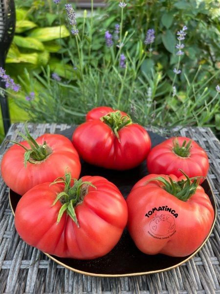 ����� �������: ��� ��������� ������� � ������� ����� ��� ������