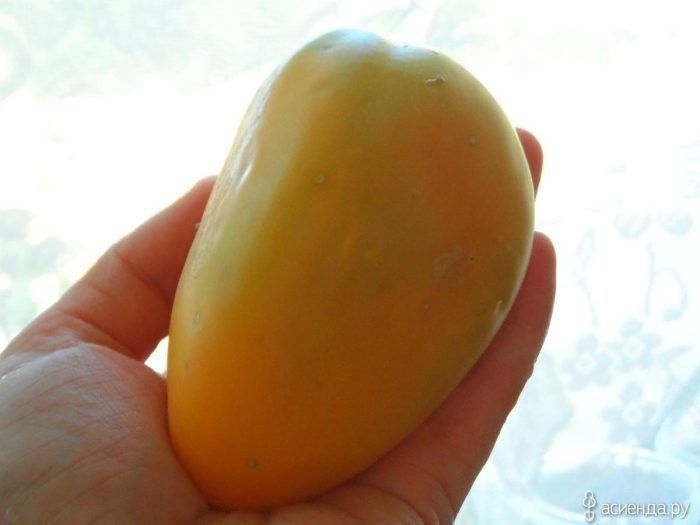 ����� ��������: �������� ������ ������������ ��������������� � ���������������