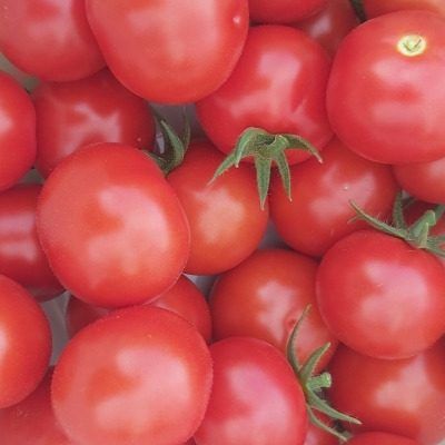 ����� ����� ������: ���������� ������ ���� ��� ������� � ����