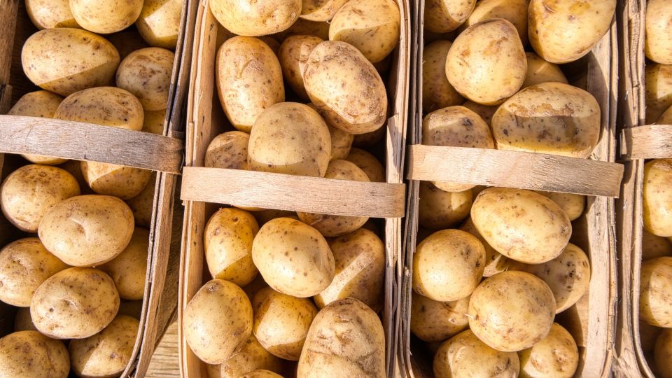 Вот как нужно мыть картошку, чтобы приготовить ее в мундире: одного мыла недостаточно