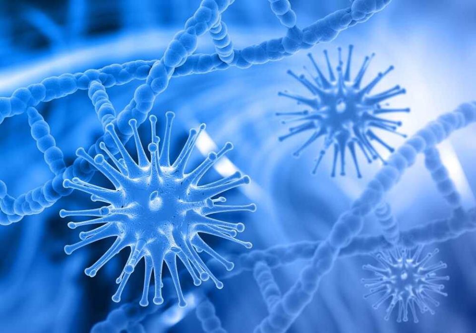 Как дезинфицировать гаджеты: простые советы для сохранения здоровья