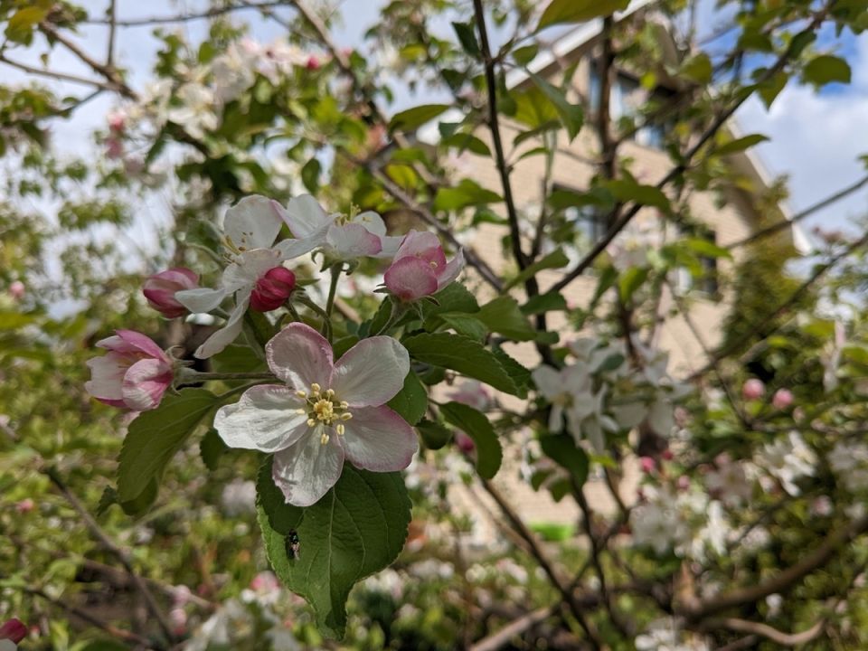 � ������� � �������: ������ 