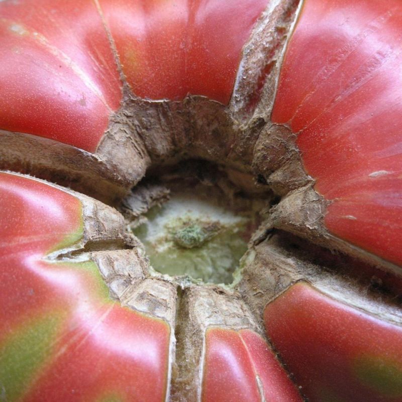 ��� ������� ����� �������, ������� �� ����������