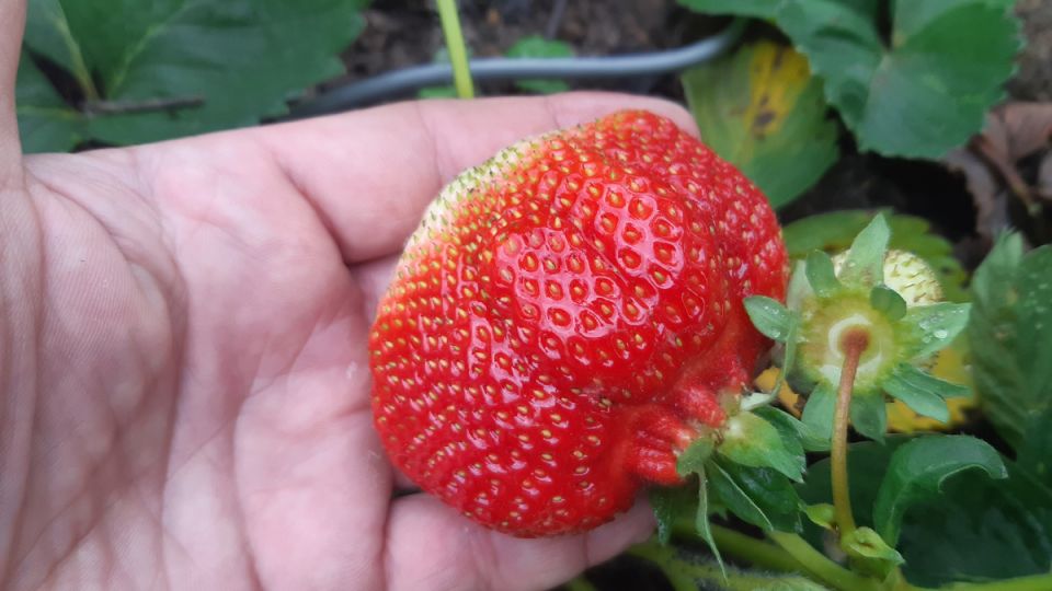 �������� ����������: ���������� ����� ��� ������ ����