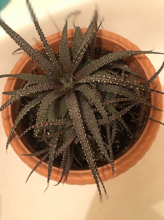 ������������: ����������� ������ ��� ������ ����